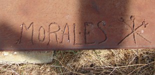  Raymond Morales Parc-exposition